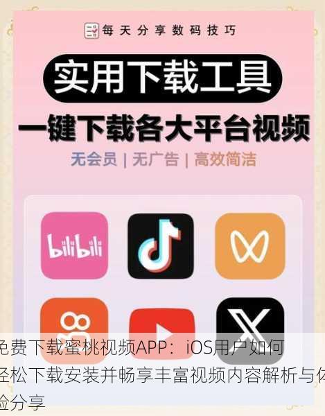 免费下载蜜桃视频APP:iOS用户如何轻松下载安装并畅享丰富视频内容解析与体验分享