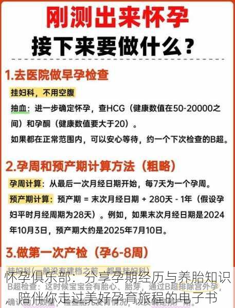 怀孕俱乐部:分享孕期经历与养胎知识,陪伴你走过美好孕育旅程的电子书