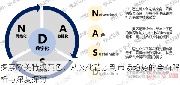 探索欧美特级黄色：从文化背景到市场趋势的全面解析与深度探讨