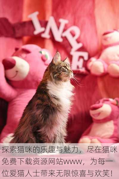 探索猫咪的乐趣与魅力，尽在猫咪免费下载资源网站www，为每一位爱猫人士带来无限惊喜与欢笑！
