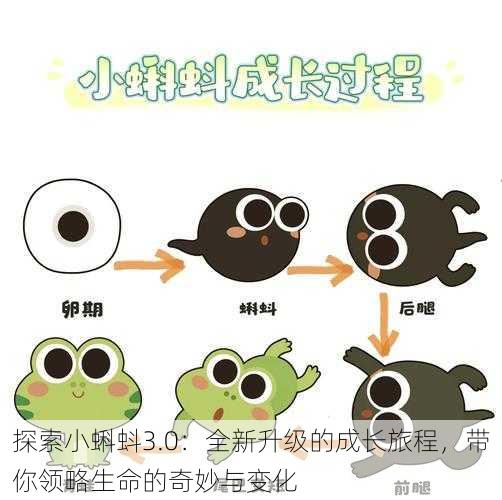 探索小蝌蚪3.0:全新升级的成长旅程,带你领略生命的奇妙与变化