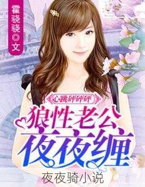 夜夜骑小说