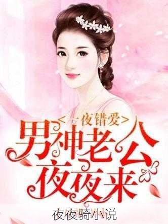 夜夜骑小说