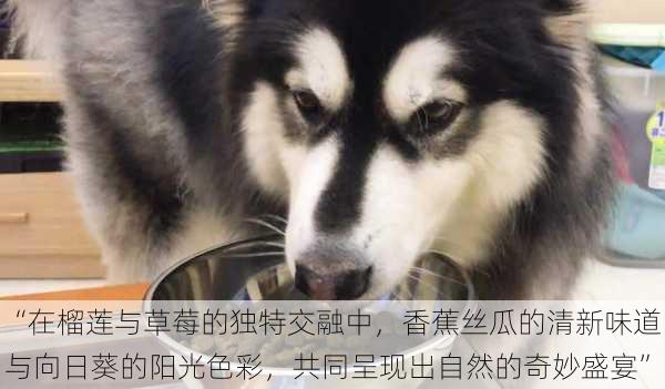 “在榴莲与草莓的独特交融中,香蕉丝瓜的清新味道与向日葵的阳光色彩,共同呈现出自然的奇妙盛宴”