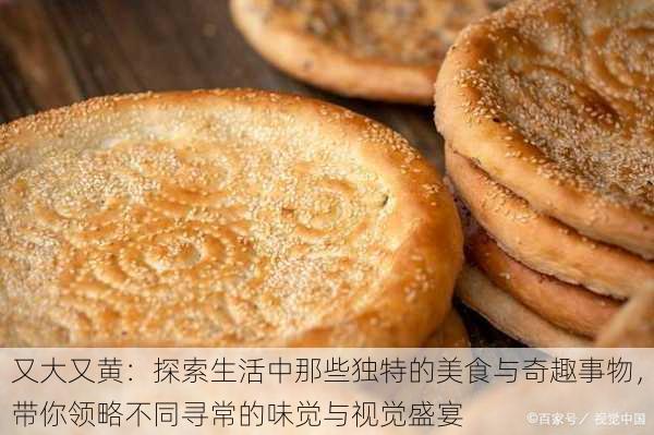 又大又黄:探索生活中那些独特的美食与奇趣事物,带你领略不同寻常的味觉与视觉盛宴