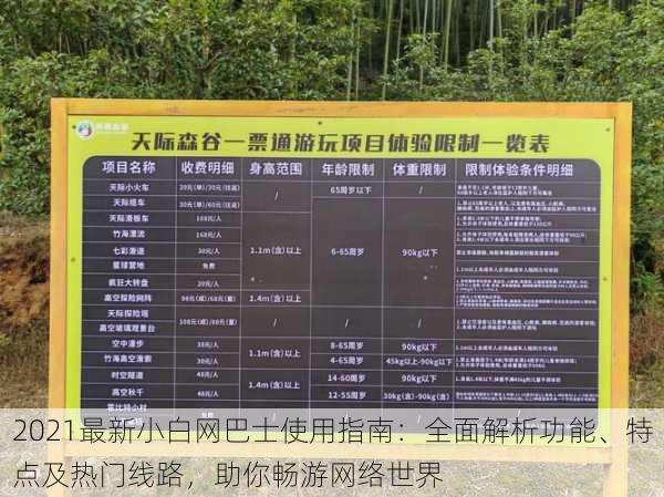 2021最新小白网巴士使用指南:全面解析功能、特点及热门线路,助你畅游网络世界