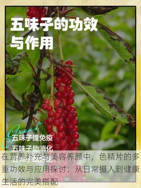 在营养补充与美容养颜中,色精片的多重功效与应用探讨:从日常摄入到健康生活的完美搭配