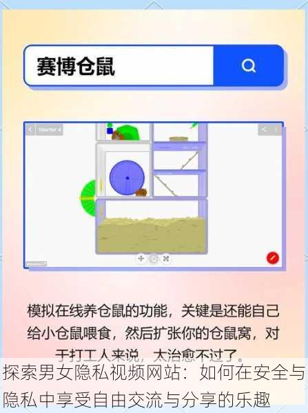 探索男女隐私视频网站:如何在安全与隐私中享受自由交流与分享的乐趣