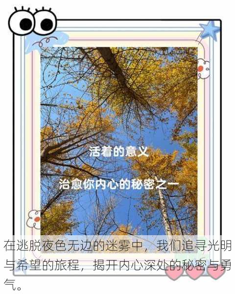 在逃脱夜色无边的迷雾中,我们追寻光明与希望的旅程,揭开内心深处的秘密与勇气。