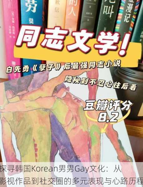 探寻韩国Korean男男Gay文化:从影视作品到社交圈的多元表现与心路历程