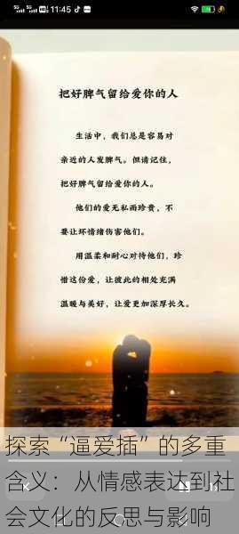 探索“逼爱插”的多重含义:从情感表达到社会文化的反思与影响