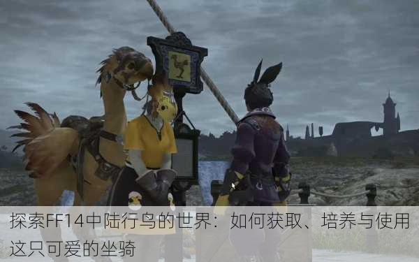 探索FF14中陆行鸟的世界:如何获取、培养与使用这只可爱的坐骑