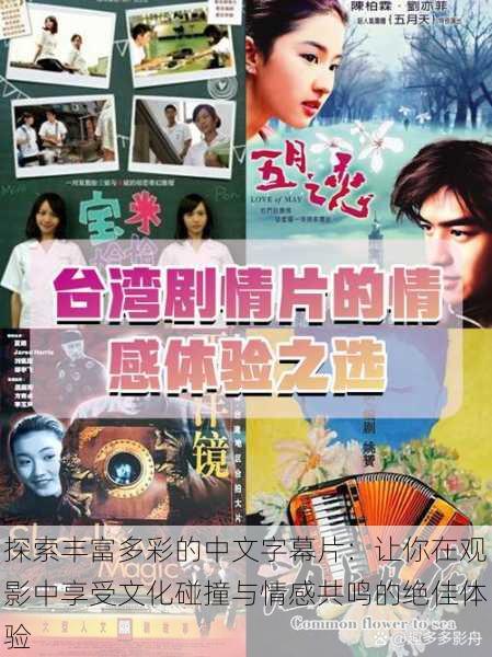 探索丰富多彩的中文字幕片:让你在观影中享受文化碰撞与情感共鸣的绝佳体验