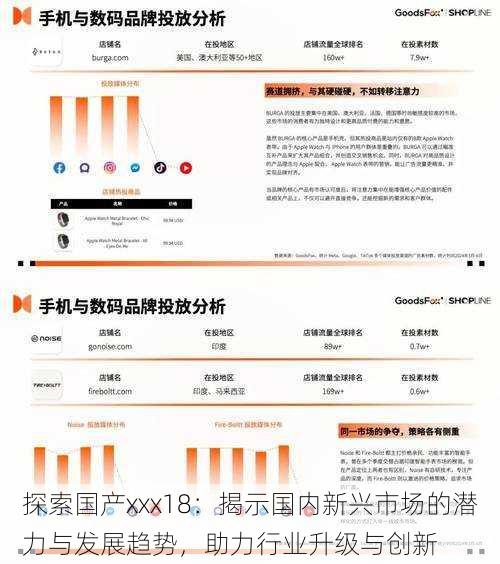 探索国产xxx18:揭示国内新兴市场的潜力与发展趋势,助力行业升级与创新