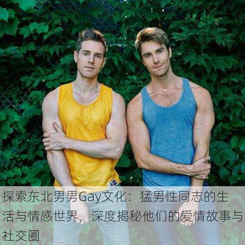 探索东北男男Gay文化:猛男性同志的生活与情感世界,深度揭秘他们的爱情故事与社交圈