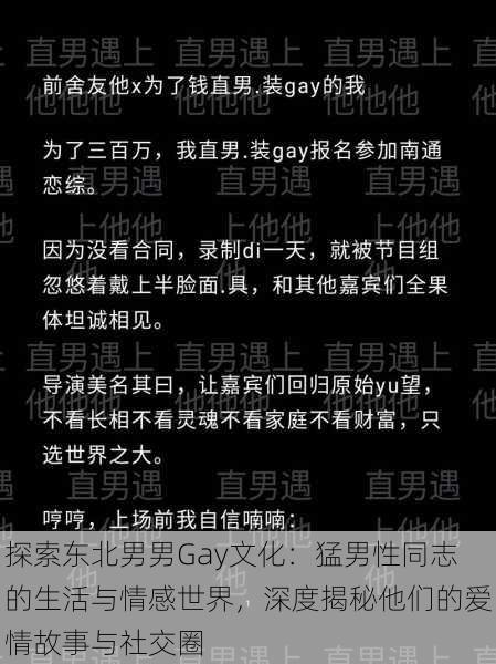 探索东北男男Gay文化:猛男性同志的生活与情感世界,深度揭秘他们的爱情故事与社交圈