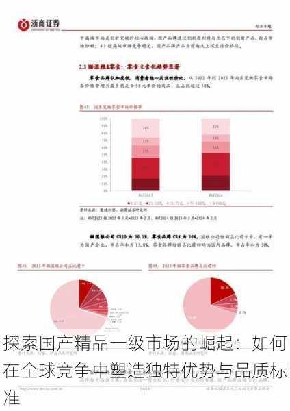 探索国产精品一级市场的崛起:如何在全球竞争中塑造独特优势与品质标准