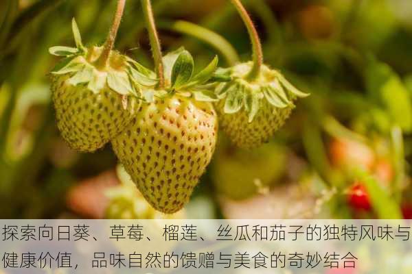 探索向日葵、草莓、榴莲、丝瓜和茄子的独特风味与健康价值,品味自然的馈赠与美食的奇妙结合