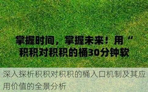 深入探析积积对积积的桶入口机制及其应用价值的全景分析