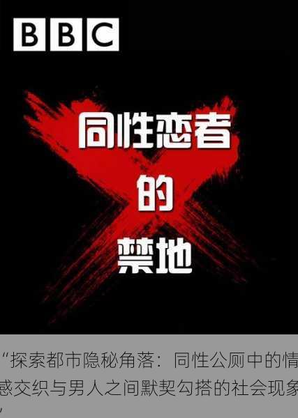 “探索都市隐秘角落:同性公厕中的情感交织与男人之间默契勾搭的社会现象”