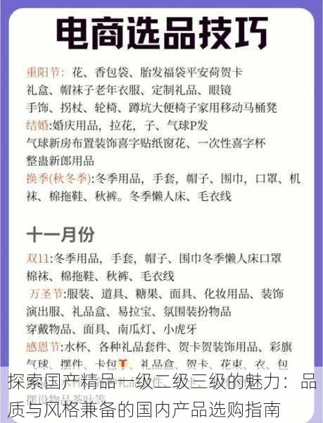 探索国产精品一级二级三级的魅力:品质与风格兼备的国内产品选购指南