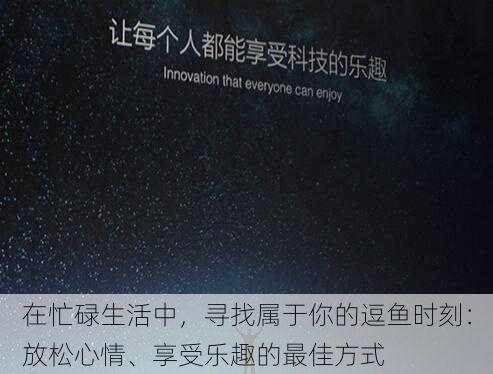 在忙碌生活中，寻找属于你的逗鱼时刻：放松心情、享受乐趣的最佳方式
