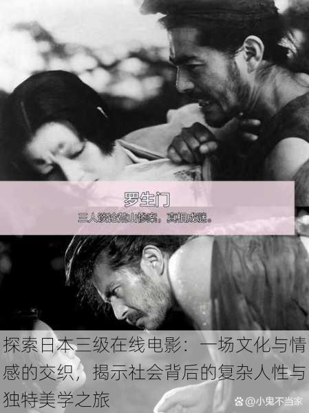 探索日本三级在线电影:一场文化与情感的交织,揭示社会背后的复杂人性与独特美学之旅
