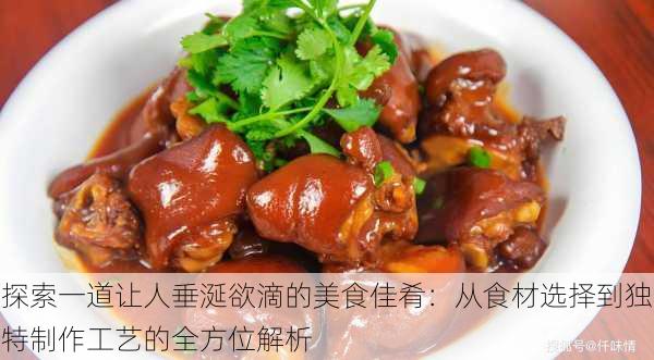 探索一道让人垂涎欲滴的美食佳肴：从食材选择到独特制作工艺的全方位解析