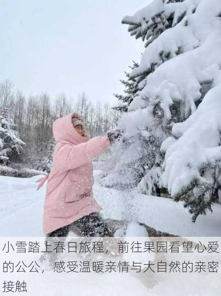 小雪踏上春日旅程，前往果园看望心爱的公公，感受温暖亲情与大自然的亲密接触