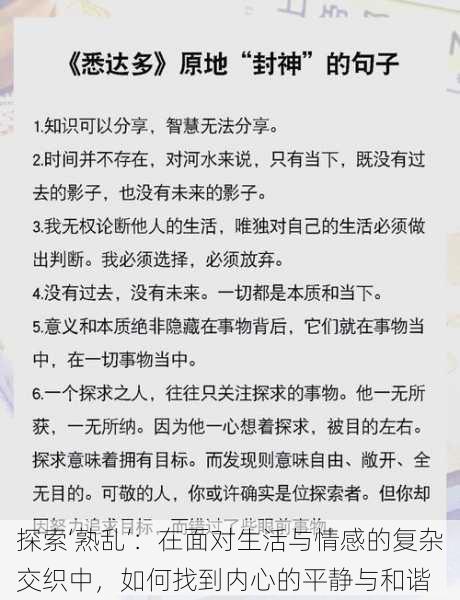 探索‘熟乱’:在面对生活与情感的复杂交织中,如何找到内心的平静与和谐