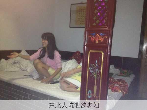 东北大坑泄欲老妇