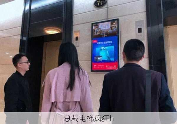总裁电梯疯狂h