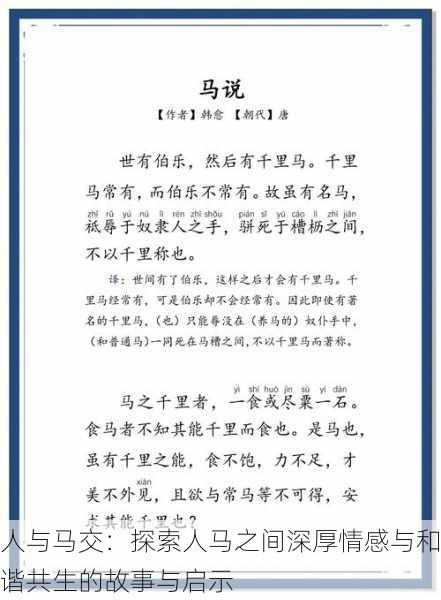人与马交:探索人马之间深厚情感与和谐共生的故事与启示