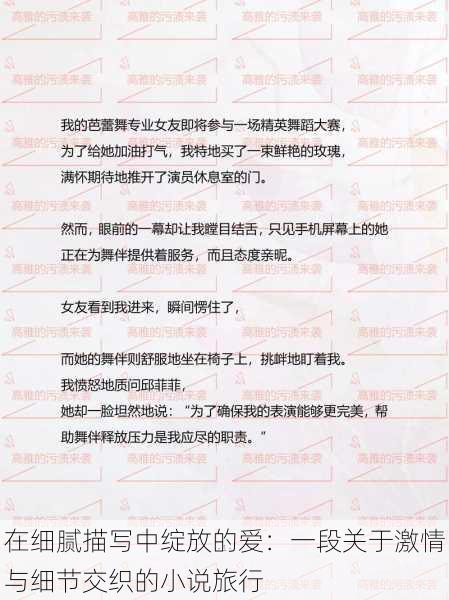 在细腻描写中绽放的爱:一段关于激情与细节交织的小说旅行