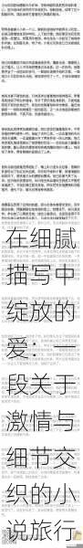 在细腻描写中绽放的爱：一段关于激情与细节交织的小说旅行