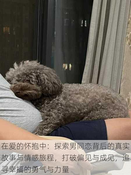 在爱的怀抱中:探索男同恋背后的真实故事与情感旅程,打破偏见与成见,追寻幸福的勇气与力量