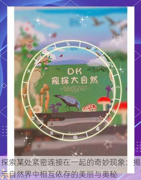 探索某处紧密连接在一起的奇妙现象:揭示自然界中相互依存的美丽与奥秘