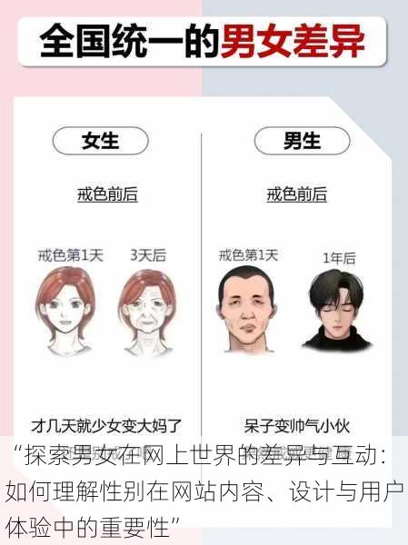 “探索男女在网上世界的差异与互动:如何理解性别在网站内容、设计与用户体验中的重要性”