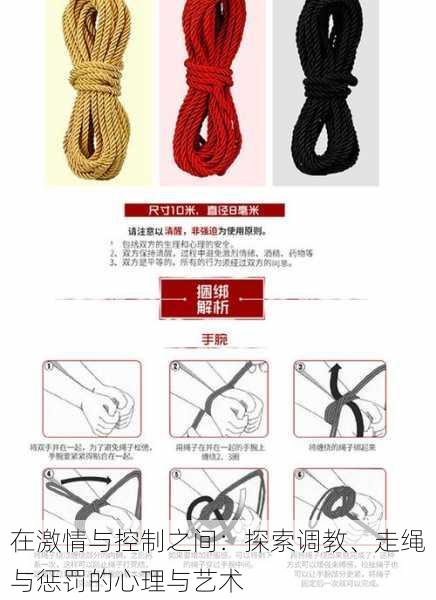 在激情与控制之间:探索调教、走绳与惩罚的心理与艺术