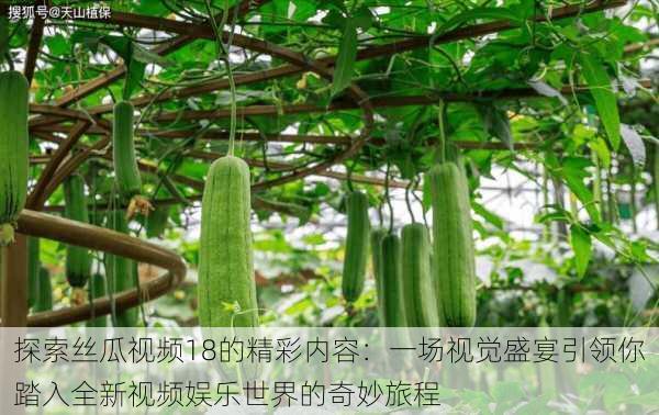 探索丝瓜视频18的精彩内容：一场视觉盛宴引领你踏入全新视频娱乐世界的奇妙旅程