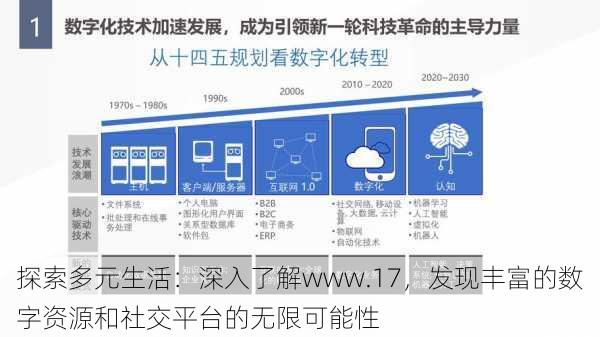 探索多元生活:深入了解www.17,发现丰富的数字资源和社交平台的无限可能性