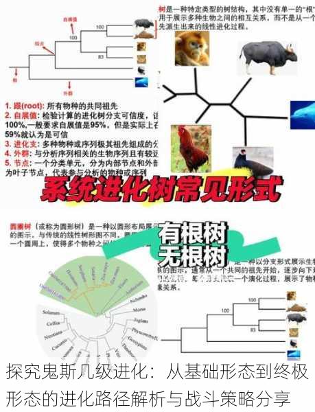 探究鬼斯几级进化：从基础形态到终极形态的进化路径解析与战斗策略分享
