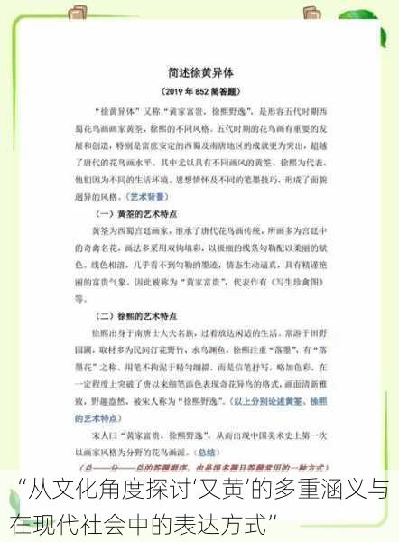 “从文化角度探讨‘又黄’的多重涵义与在现代社会中的表达方式”