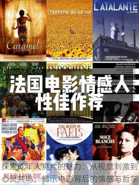 探索成年人爽片的魅力：从视觉刺激到心灵共鸣，揭示电影背后的情感与哲学
