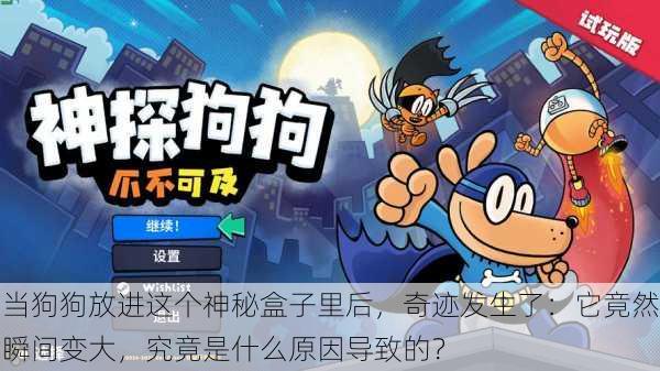 当狗狗放进这个神秘盒子里后,奇迹发生了:它竟然瞬间变大,究竟是什么原因导致的?