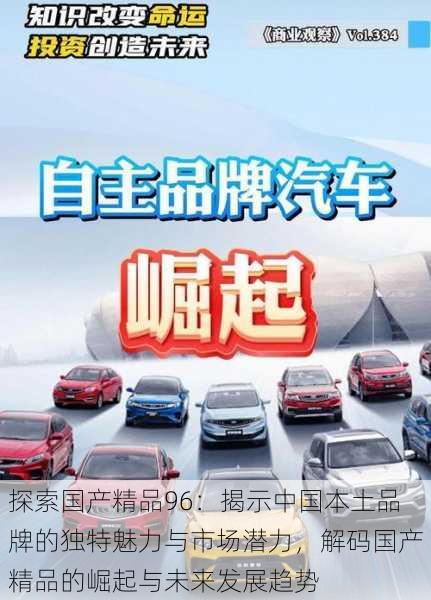 探索国产精品96:揭示中国本土品牌的独特魅力与市场潜力,解码国产精品的崛起与未来发展趋势