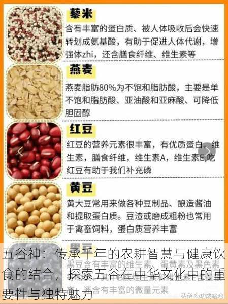 五谷神：传承千年的农耕智慧与健康饮食的结合，探索五谷在中华文化中的重要性与独特魅力