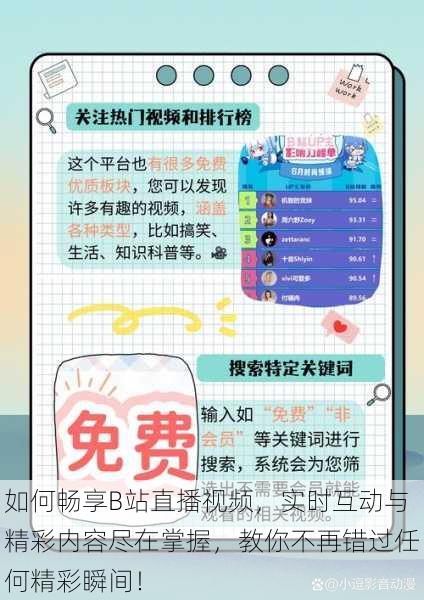 如何畅享B站直播视频,实时互动与精彩内容尽在掌握,教你不再错过任何精彩瞬间!