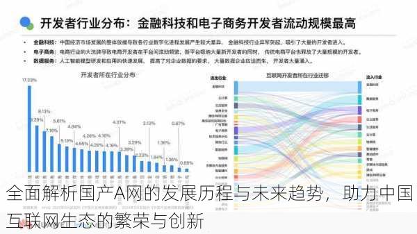 全面解析国产A网的发展历程与未来趋势,助力中国互联网生态的繁荣与创新