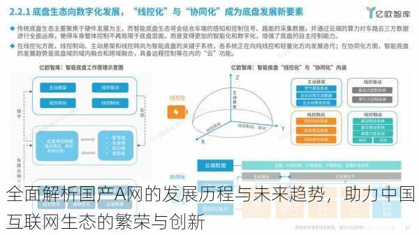 全面解析国产A网的发展历程与未来趋势,助力中国互联网生态的繁荣与创新
